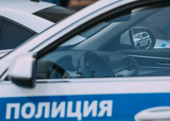 В рязанском Скопине мужчина угрожал женщине игрушечным пистолетом