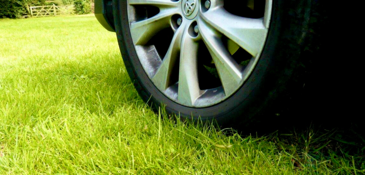 С начала года за парковку в зеленой зоне оштрафовали 9080 водителей-нарушителей