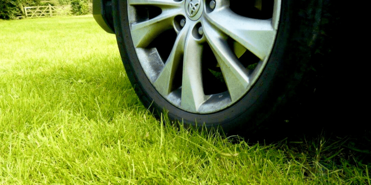 С начала года за парковку в зеленой зоне оштрафовали 9080 водителей-нарушителей