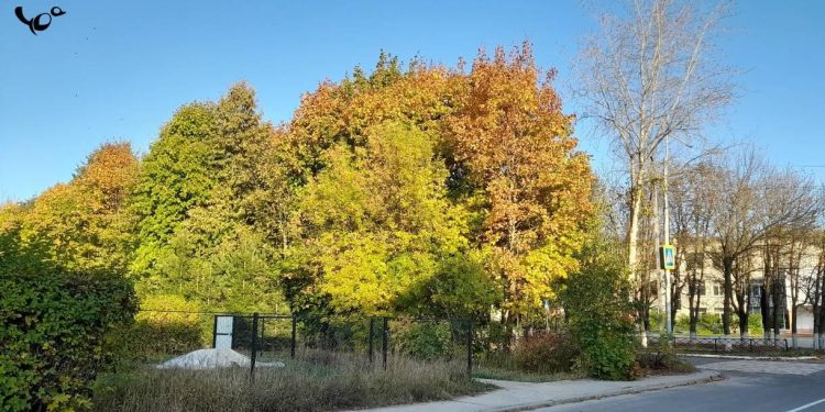 Синоптик Степанов рекомендует рязанцам не ждать бабьего лета