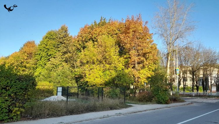 Синоптик Степанов рекомендует рязанцам не ждать бабьего лета