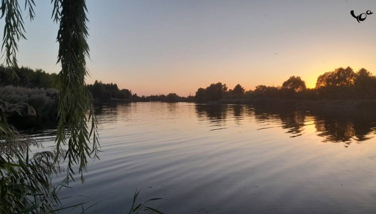 Во вторник в Рязанской области ожидается до +27 градусов