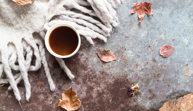 Синоптик Ильин: в выходные жителей Центральной России ждет настоящая осень