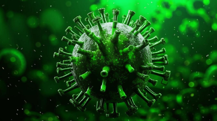 В Рязанском регионе за неделю 45 человек заразились COVID-19