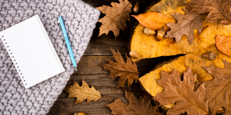 Синоптик Вильфанд: теплая погода продержится в России до 7 сентября