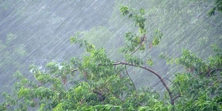 Рязанцев предупредили о грозе и ливневом дожде 20 мая