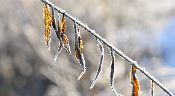 В субботу в Рязанской области потеплеет до +6 градусов В субботу в Рязанской области потеплеет до +6 градусов