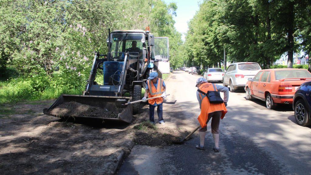 В рязанские клумбы высадили тагетис, колеус, петунию и герань