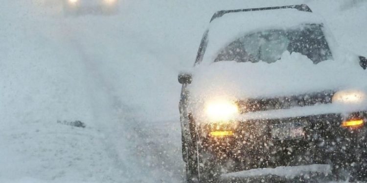 Рязанское МЧС выпустило метеопредупреждение из-за ледяного дождя и мокрого снега 24 ноября