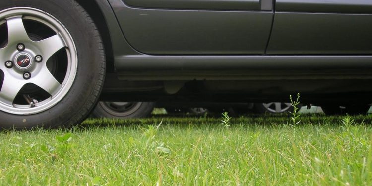 С начала года в Рязани оштрафовали 1867 водителей, парковавшихся на газонах С начала года в Рязани оштрафовали 1867 водителей, парковавшихся на газонах