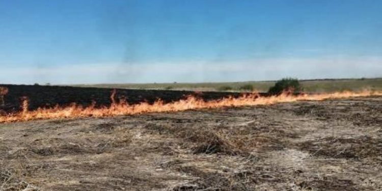 Рязанцев предупредили о высокой пожарной опасности в регионе с 24 по 27 сентября