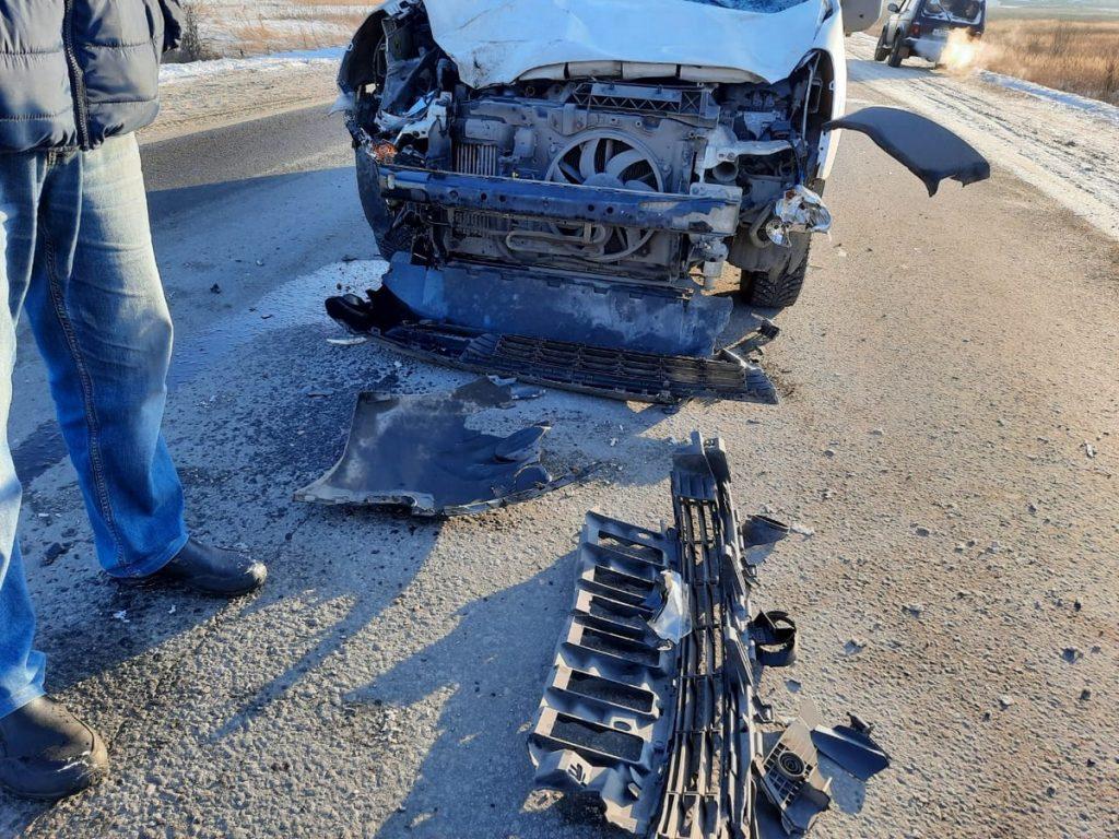 В Пронском районе водитель автомобиля «Citroen» сбил коня