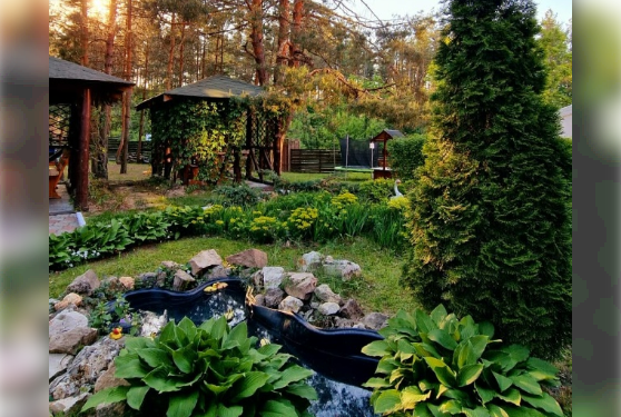 В рязанской Солотче закроется ресторан «Астория»