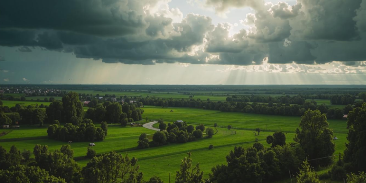 В пятницу в Рязанской области ожидается дождь и до +25 градусов