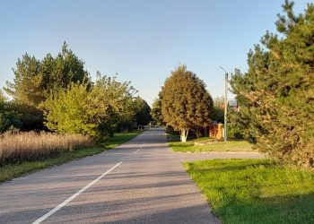 В субботу в Рязанской области потеплеет до +18 градусов