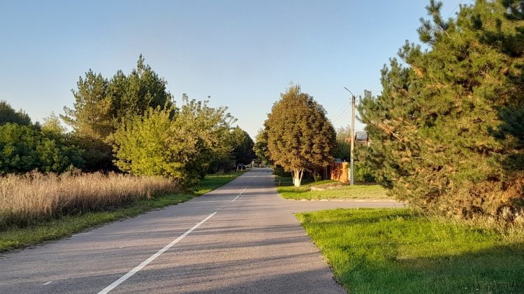 В субботу в Рязанской области потеплеет до +18 градусов