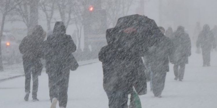 Рязанцев предупредили об утренней гололедице 5 декабря