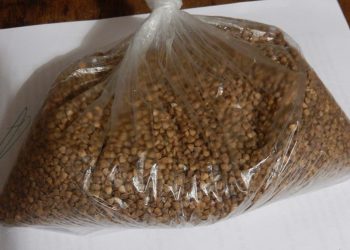 Мэрия отреагировала на вопросы о врученной ученикам рязанской школы №69 гречке