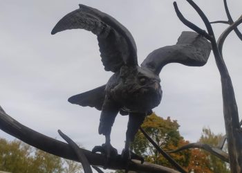 В рязанском сквере "Сокол" продолжаются работы по благоустройству В рязанском сквере «Сокол» продолжаются работы по благоустройству