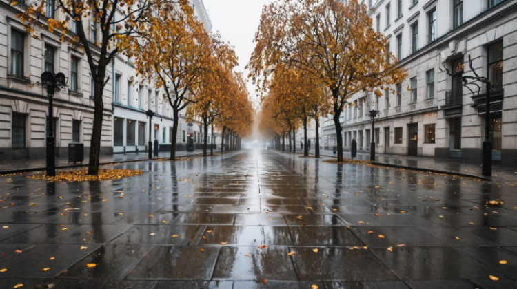 Россиянам пообещали дождливую погоду в последнюю неделю октября