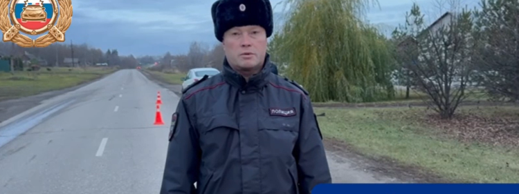 В ДТП в Скопинском районе под колесами автомобиля погиб 39-летний пешеход