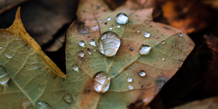 Синоптик Тишковец: в предстоящие выходные Центральную Россию накроют проливные дожди Синоптик Тишковец: в предстоящие выходные Центральную Россию накроют проливные дожди