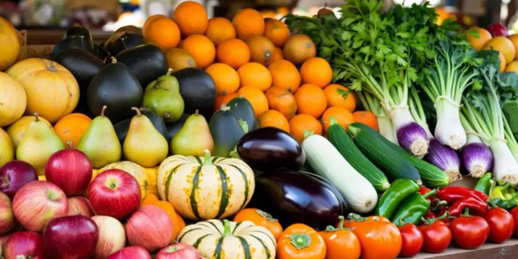 С начала 2025 года за незаконную торговлю в Рязани оштрафовали 1661 нарушителя