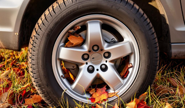 С начала года в Рязани за парковку на газонах оштрафовали 10 657 водителей С начала года в Рязани за парковку на газонах оштрафовали 10 657 водителей