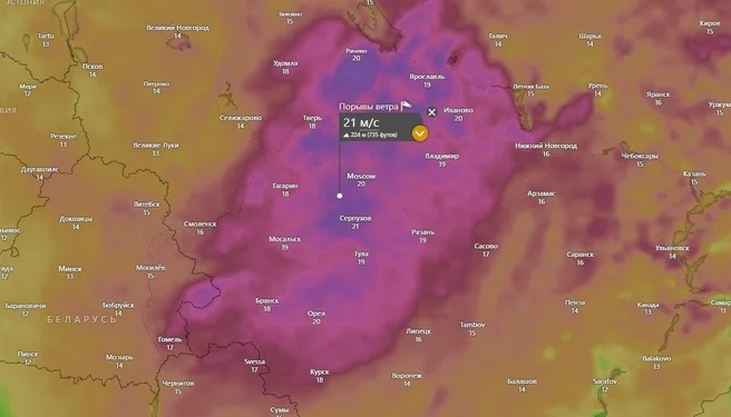 Тишковец: 14 марта Рязанскую область накроет 9-балльный шторм