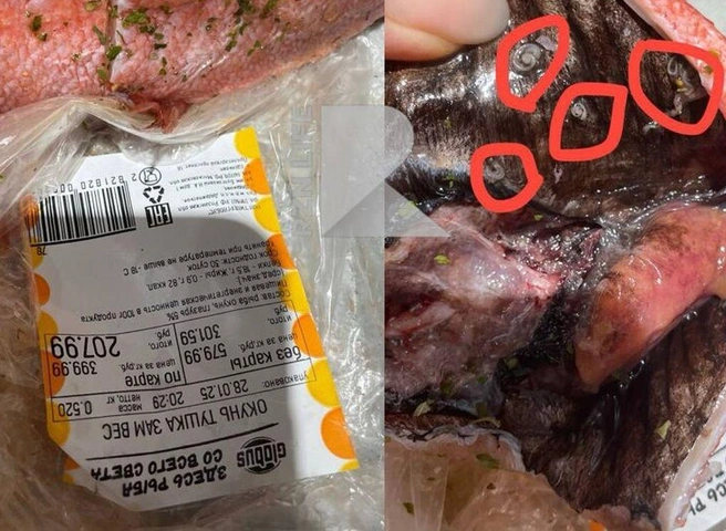 Покупатели приобрели в рязанском "Глобусе" рыбу с паразитами