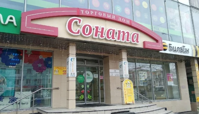 В центре Рязани продается ТЦ «Соната» за 210 миллионов рублей