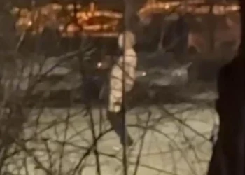 В Рязани полицейские задержали эксгибициониста