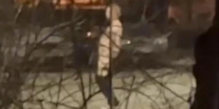 В Рязани полицейские задержали эксгибициониста В Рязани полицейские задержали эксгибициониста