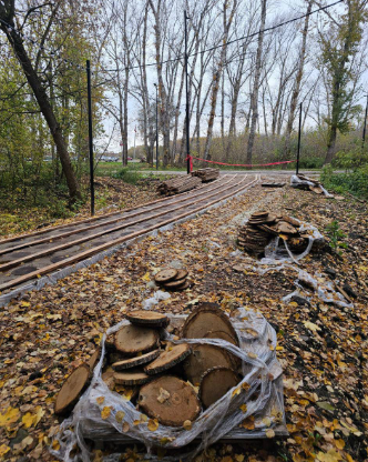 В рязанском Лесопарке начали переделывать скандально известную экотропу