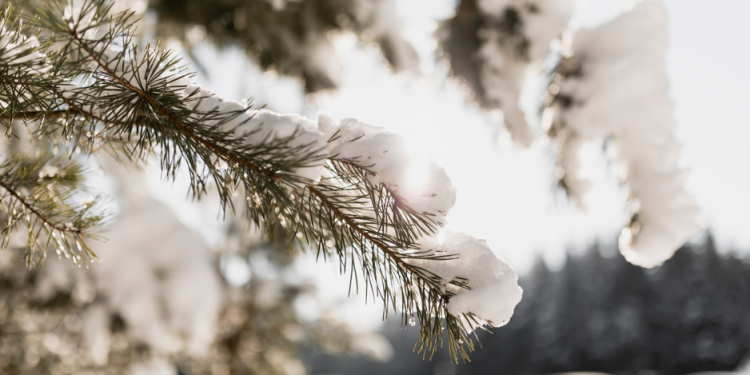 Метеоролог Позднякова: не каждая следующая зима будет теплее предыдущей Метеоролог Позднякова: не каждая следующая зима будет теплее предыдущей