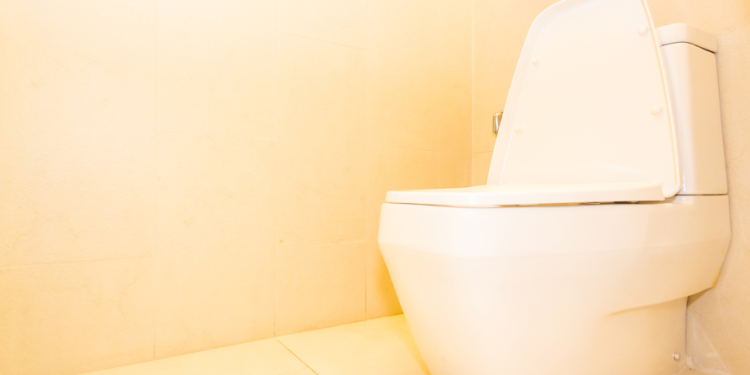 В рязанском Нижнем горпарке общественные туалеты закрыли на неопределенный срок В рязанском Нижнем горпарке общественные туалеты закрыли на неопределенный срок