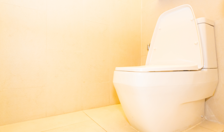 В рязанском Нижнем горпарке общественные туалеты закрыли на неопределенный срок