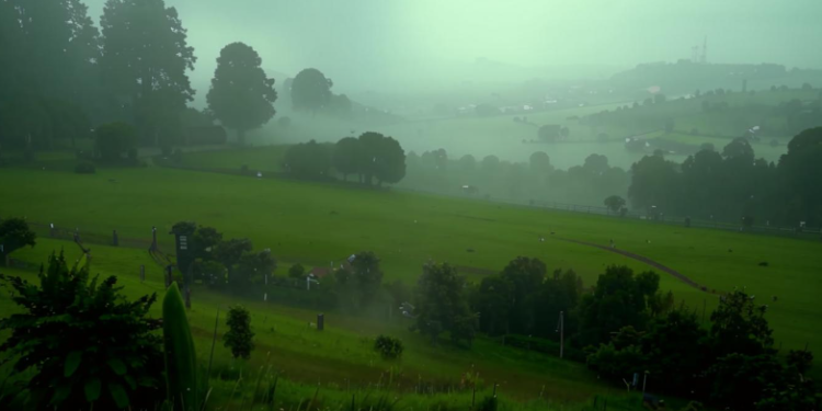 В субботу в Рязанской области ожидается небольшой дождь и до +25 градусов В субботу в Рязанской области ожидается небольшой дождь и до +25 градусов