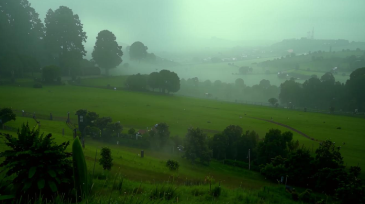 В субботу в Рязанской области ожидается небольшой дождь и до +25 градусов