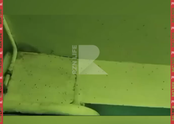 Рязанцы пожаловались на обилие комаров в подъезде многоэтажки Рязанцы пожаловались на обилие комаров в подъезде многоэтажки