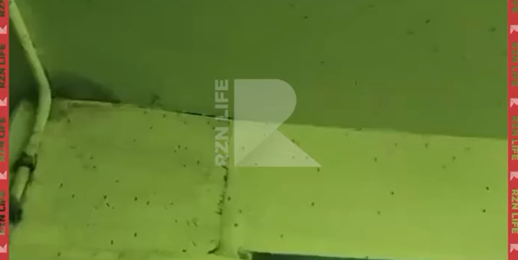 Рязанцы пожаловались на обилие комаров в подъезде многоэтажки