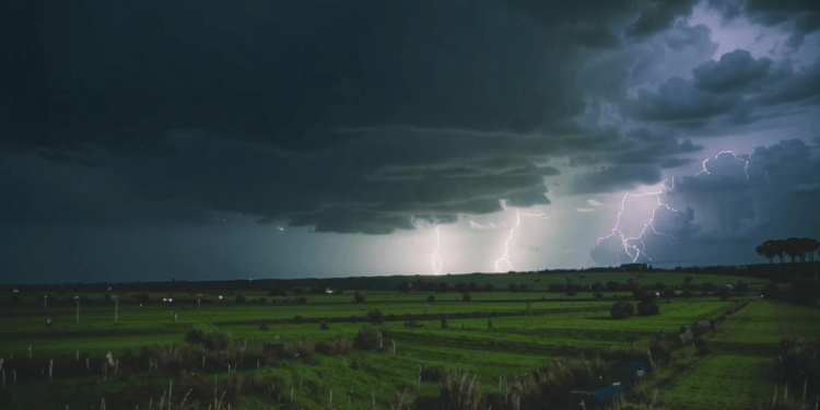 В субботу в Рязанской области ожидается гроза и до +25 градусов