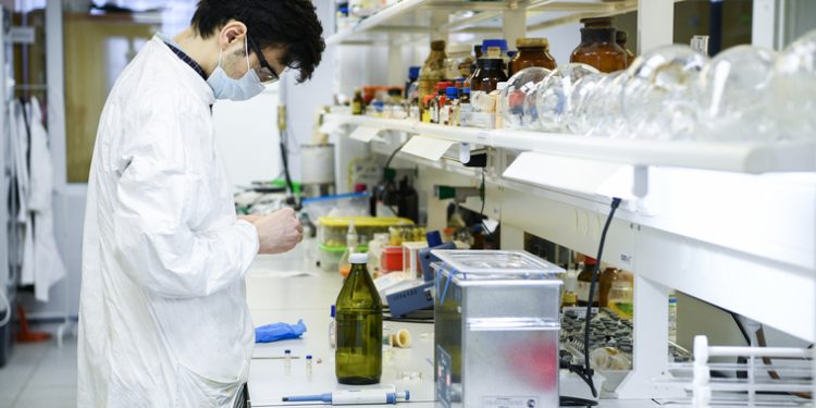 Открыта бактерия, мешающая похудеть