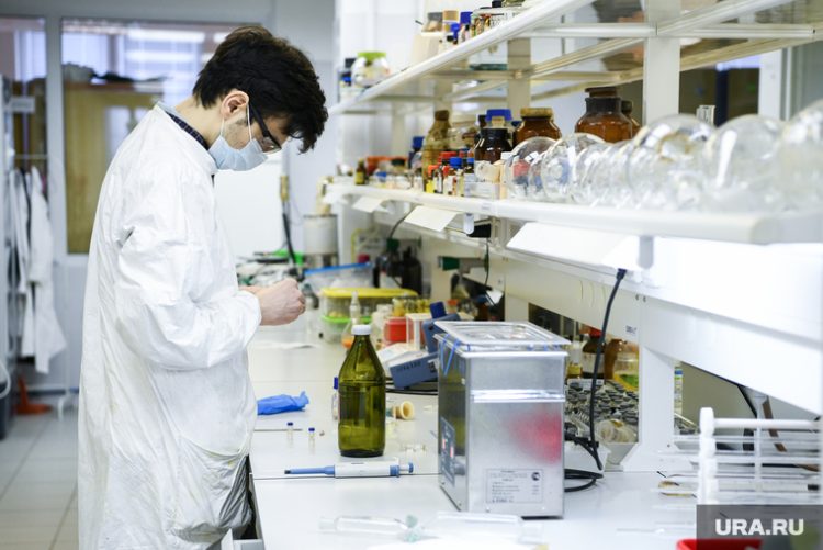 Открыта бактерия, мешающая похудеть