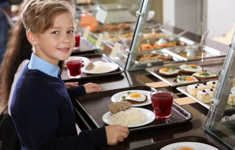 С нового учебного года в рязанских школах ввели меню для детей с непереносимостью белка