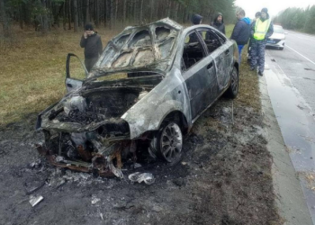 В Путятинском районе сгорела легковушка В Путятинском районе сгорела легковушка