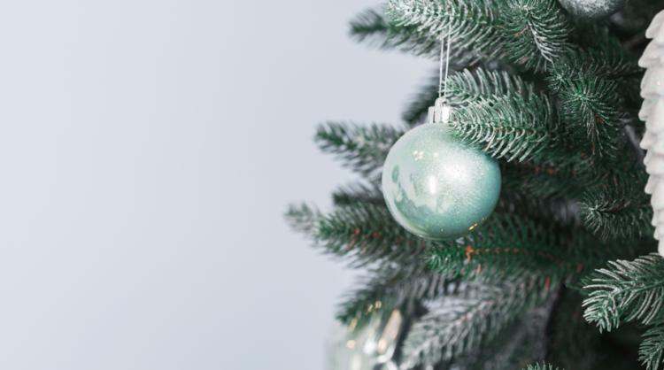 Рязанские полицейские нашли подростков, повредивших новогоднюю елку на Михайловском шоссе