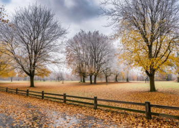 В четверг в Рязанской области ожидается до +10 градусов В четверг в Рязанской области ожидается до +10 градусов