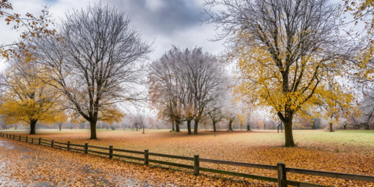 В четверг в Рязанской области ожидается до +10 градусов В четверг в Рязанской области ожидается до +10 градусов
