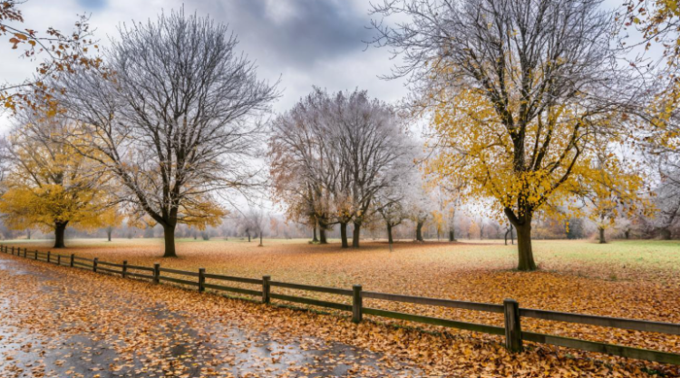 В четверг в Рязанской области ожидается до +10 градусов